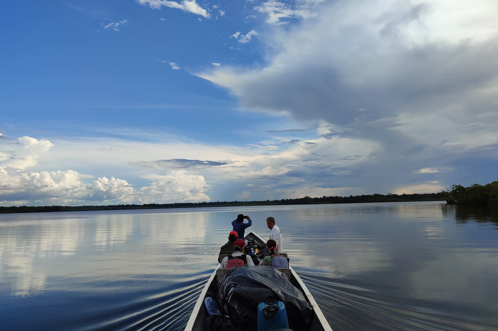 Amazon Rainforest Meets The Enchanted Galapagos