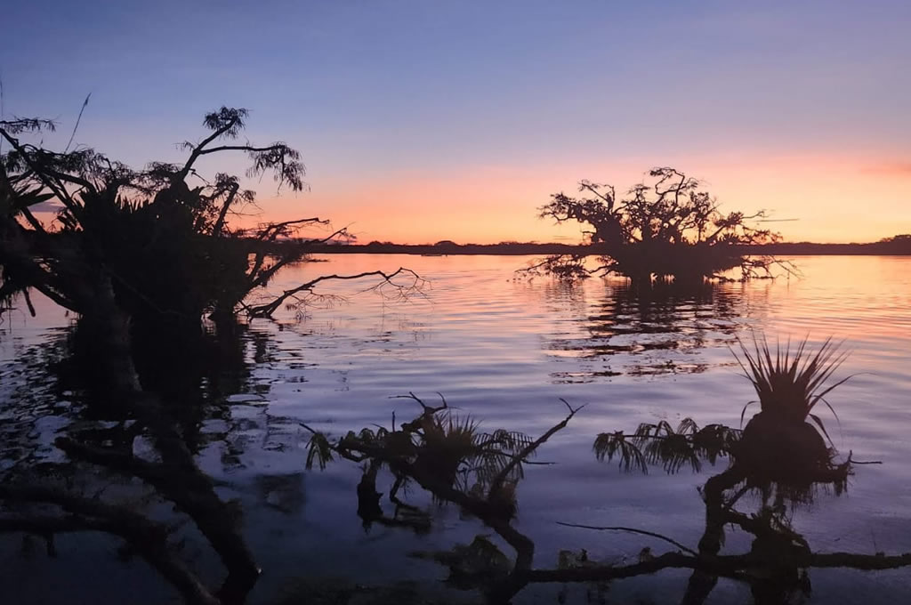 Amazon Rainforest Meets The Enchanted Galapagos