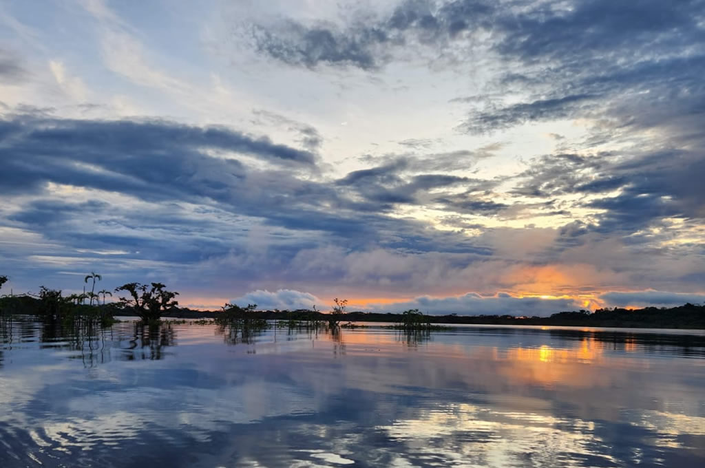 Amazon Rainforest Meets The Enchanted Galapagos