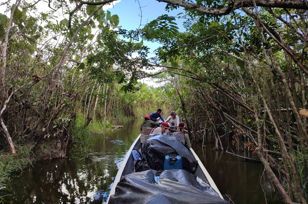 Amazon Rainforest Meets The Enchanted Galapagos