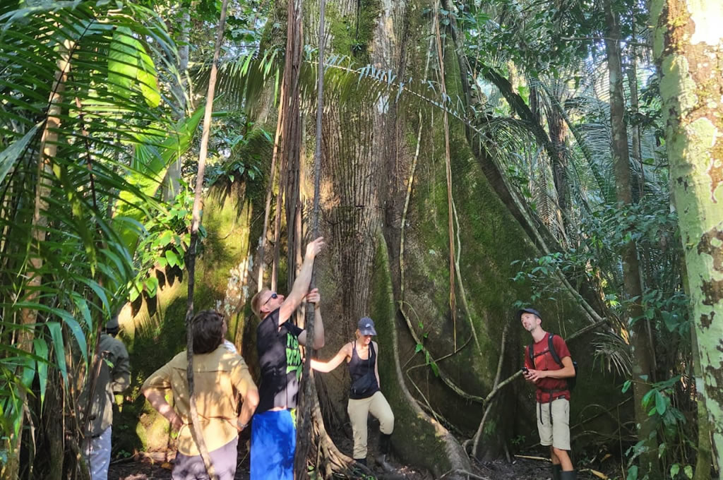 Amazon Rainforest Meets The Enchanted Galapagos