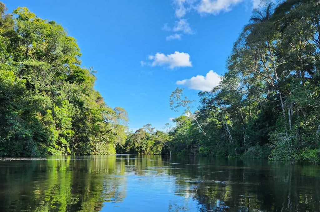 Amazon Rainforest Meets The Enchanted Galapagos