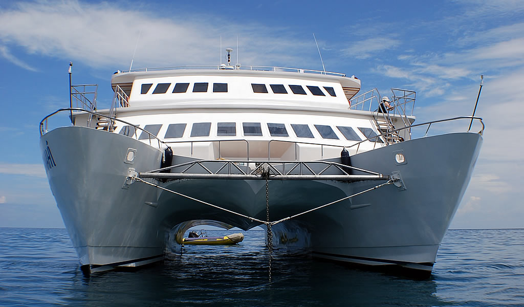 Anahi Cruise