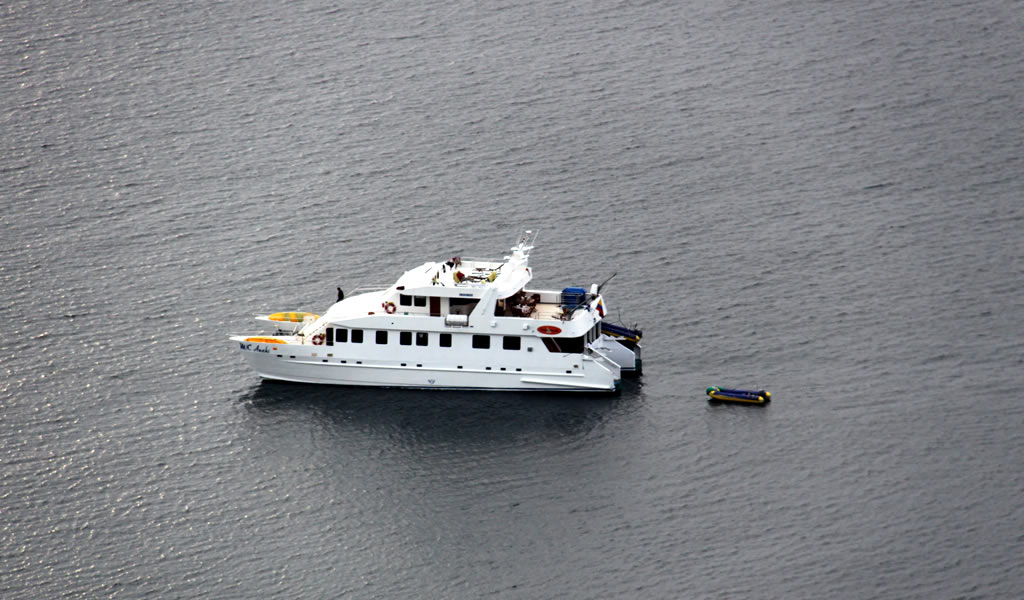 Anahi Cruise