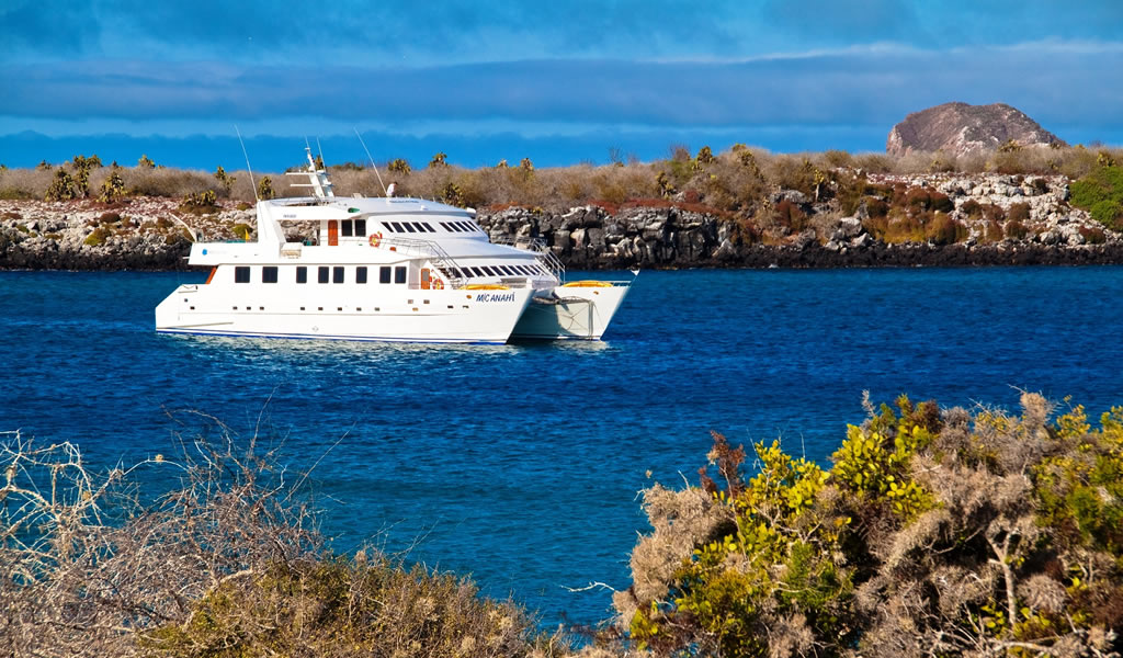 Anahi Cruise