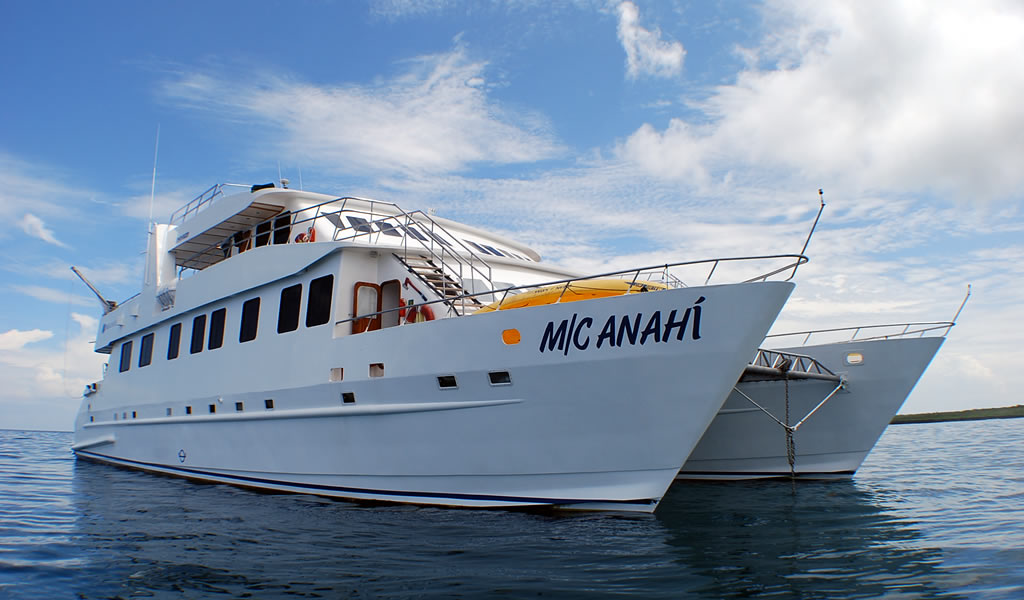 Anahi Cruise