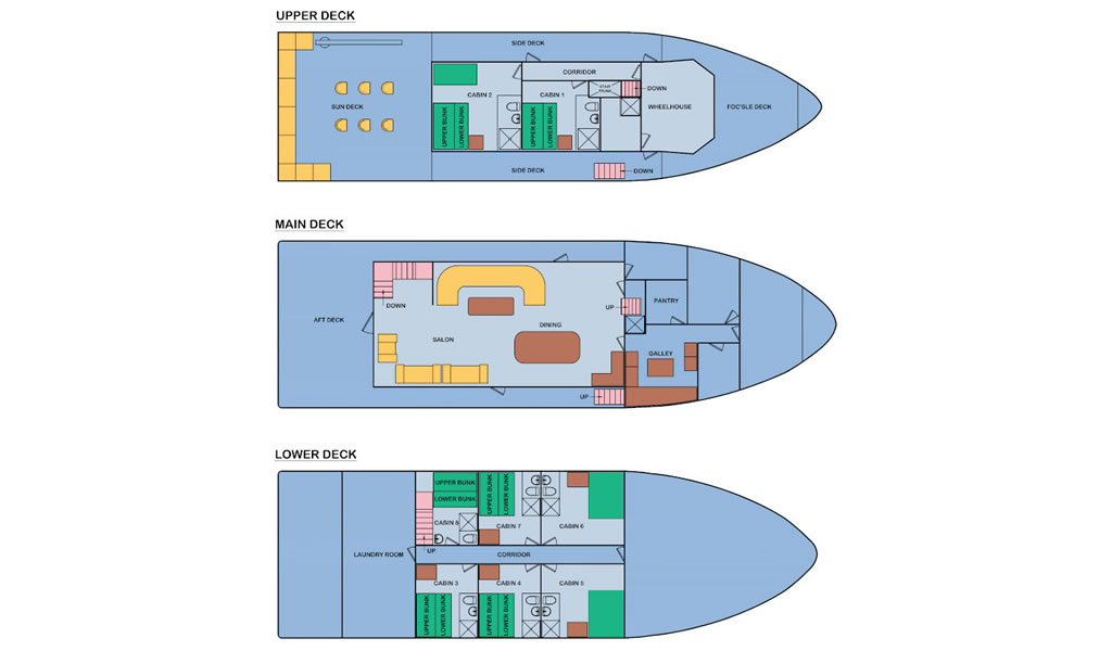 Crucero Cachalote