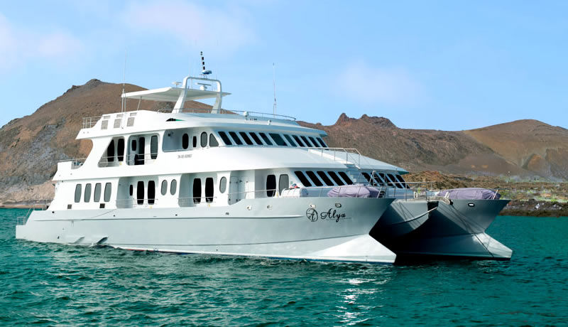 Galapagos Cruises