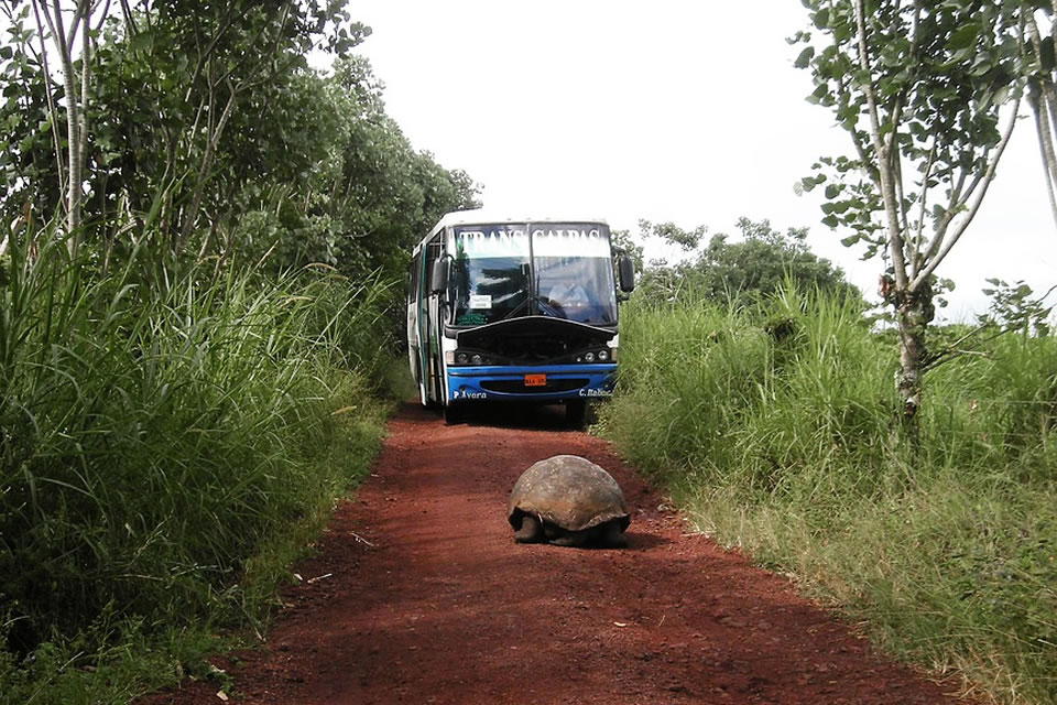 Acerca de las Islas Galapagos