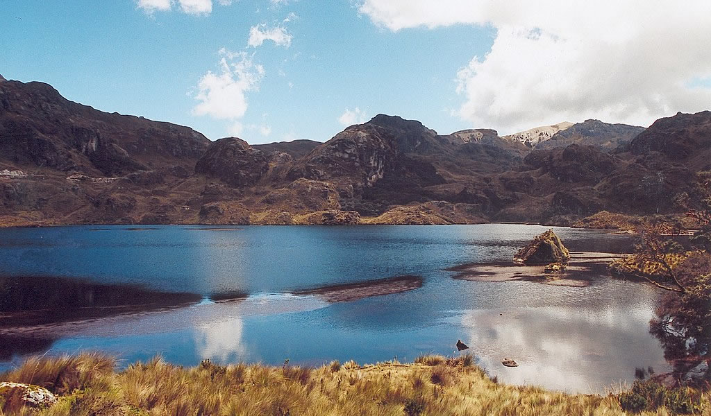 Cajas National Park & Cuenca City Private Tour