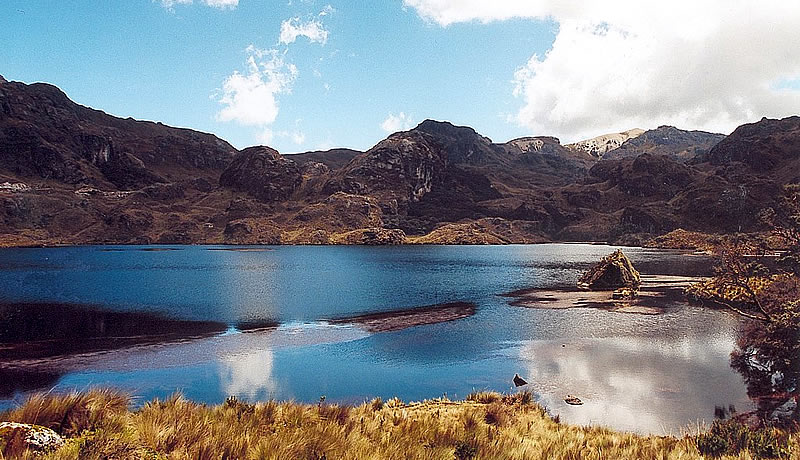 Parque Nacional Cajas Y Cuenca City Tour